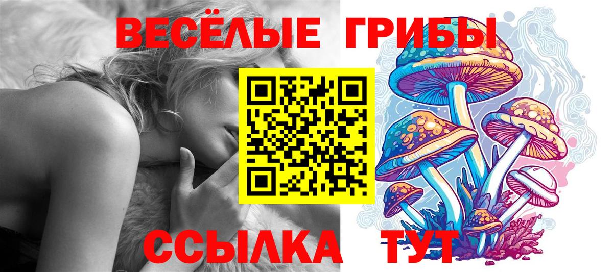 Галлюциногенные грибы Cubensis Анапа