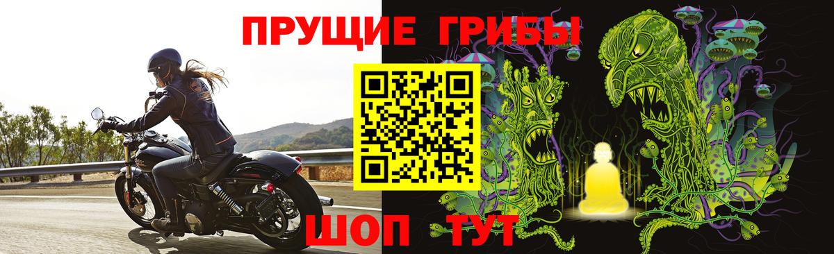 Галлюциногенные грибы GOLDEN TEACHER  Галлюциногенные грибы Cubensis  Анапа  Вход с VPN 